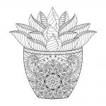 Free SUCCULENT Coloring Pages for Download (Printable PDF) - VerbNow