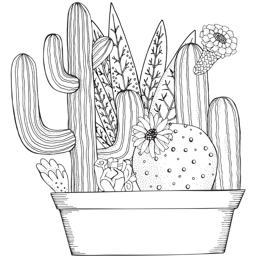 Printable Succulent Coloring Page