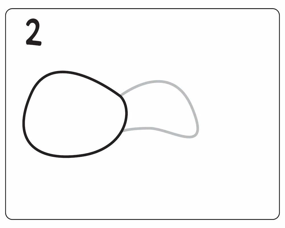 How to Draw a Lizard in 6 Easy Steps Lizard