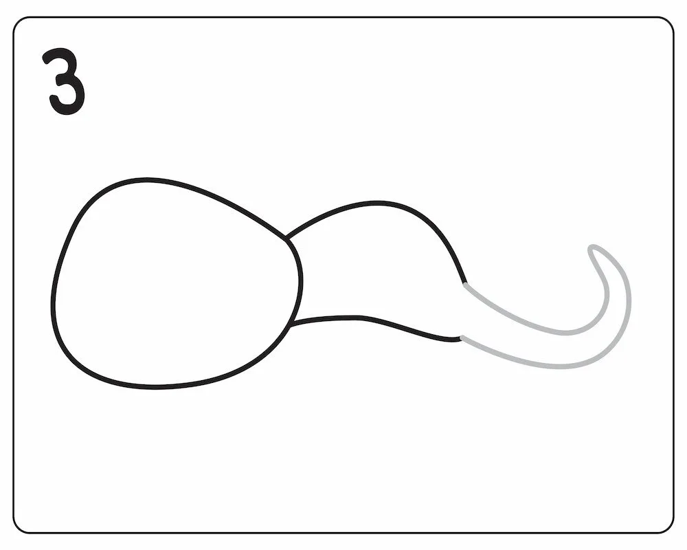 How to Draw a Lizard in 6 Easy Steps Lizard