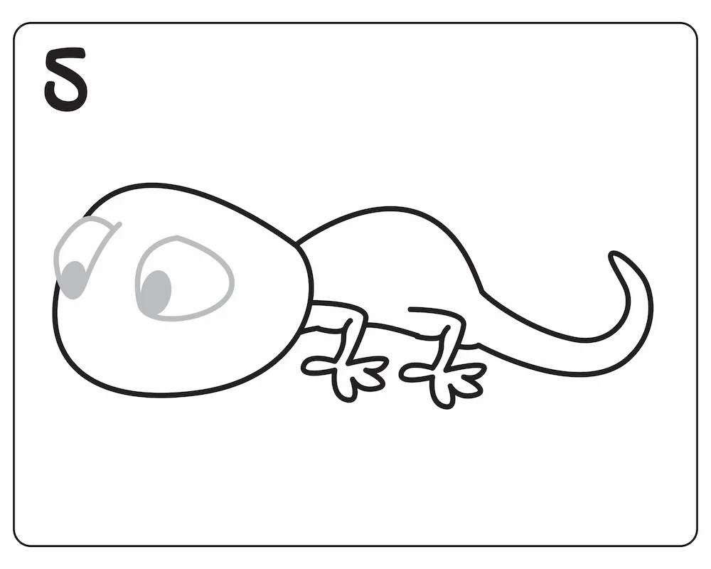 How to Draw a Lizard in 6 Easy Steps Lizard