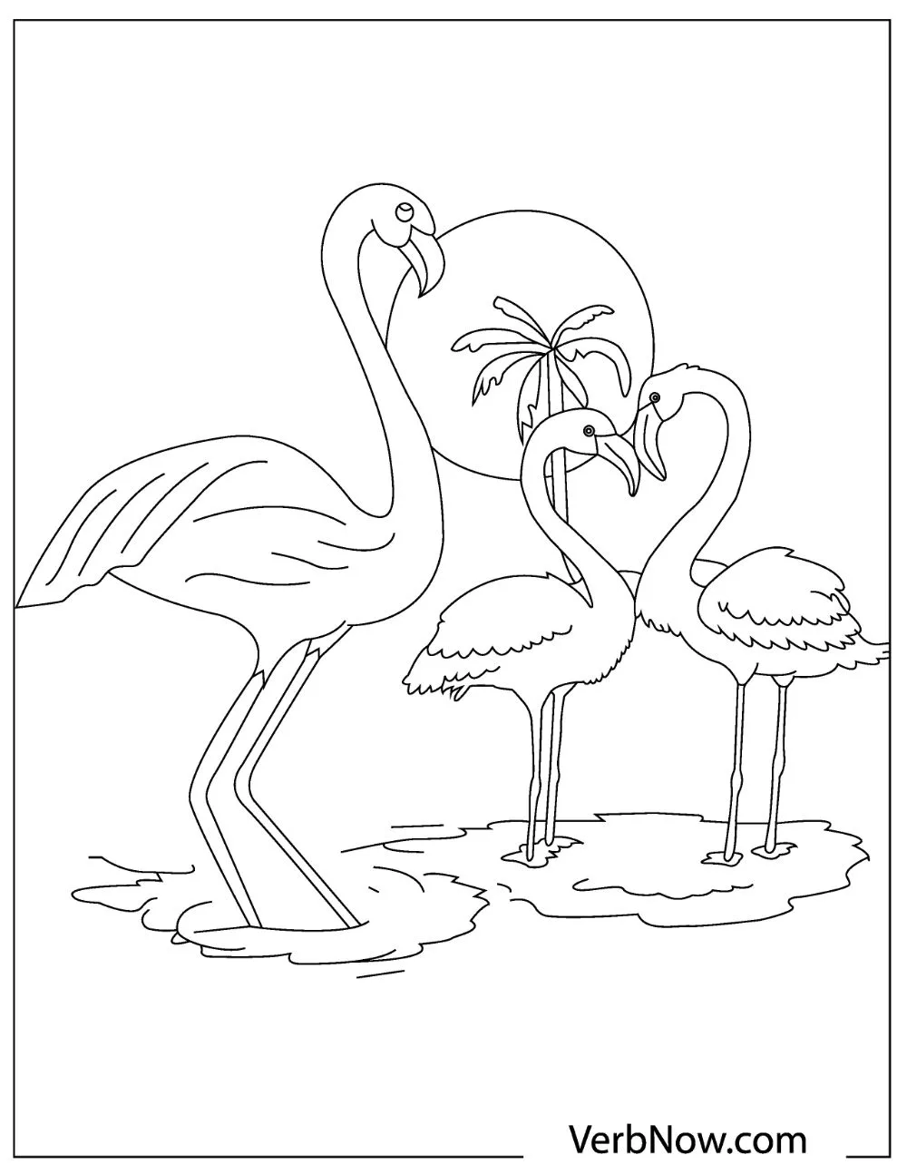 22 Flamingo Coloring Pages For Download Printable PDF 