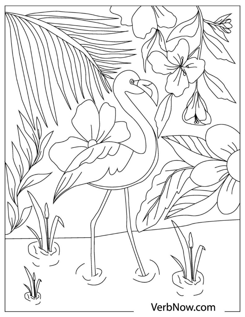 Abstract Owl Coloring Pages