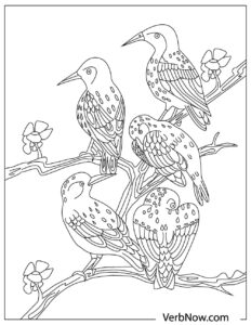 Free BIRD Coloring Pages for Download (Printable PDF)