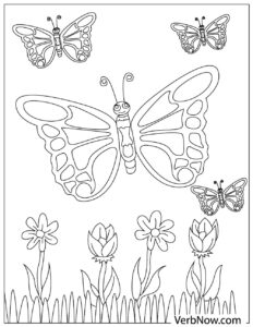 Free BUTTERFLY Coloring Pages for Download (Printable PDF)