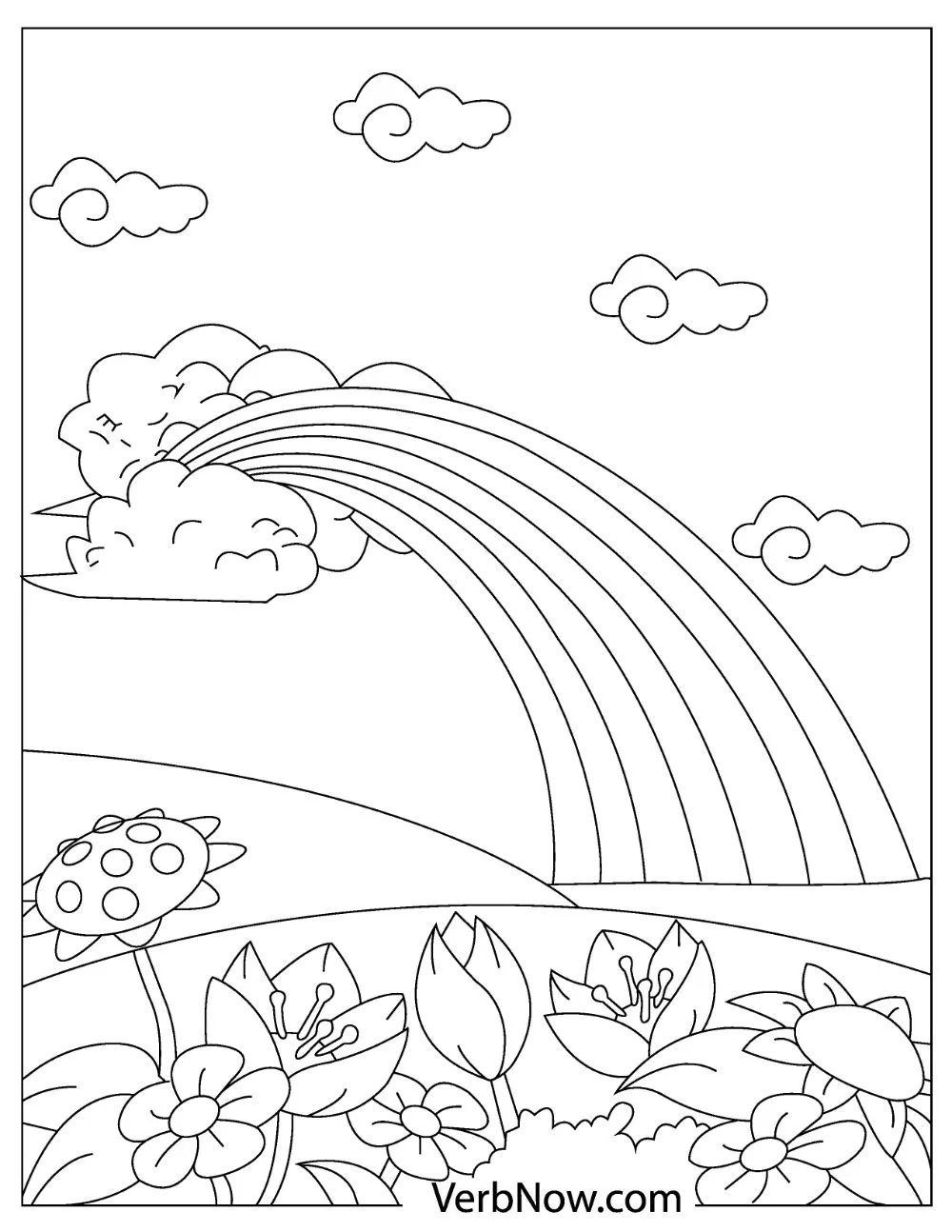 Flowers blooming in front of a beautiful rainbow.