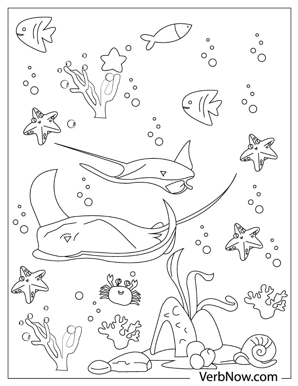 Stingray11 - VerbNow