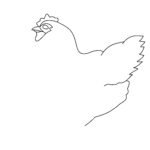 How To Draw A Chicken: Easy Step-By-Step Instructions Chicken Draw Step 4