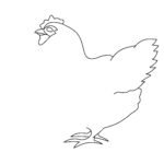 How To Draw A Chicken: Easy Step-By-Step Instructions Chicken Draw Step 5