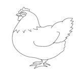 How To Draw A Chicken: Easy Step-By-Step Instructions Chicken Draw Step 7