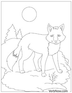 Free FOX Coloring Pages for Download (Printable PDF)