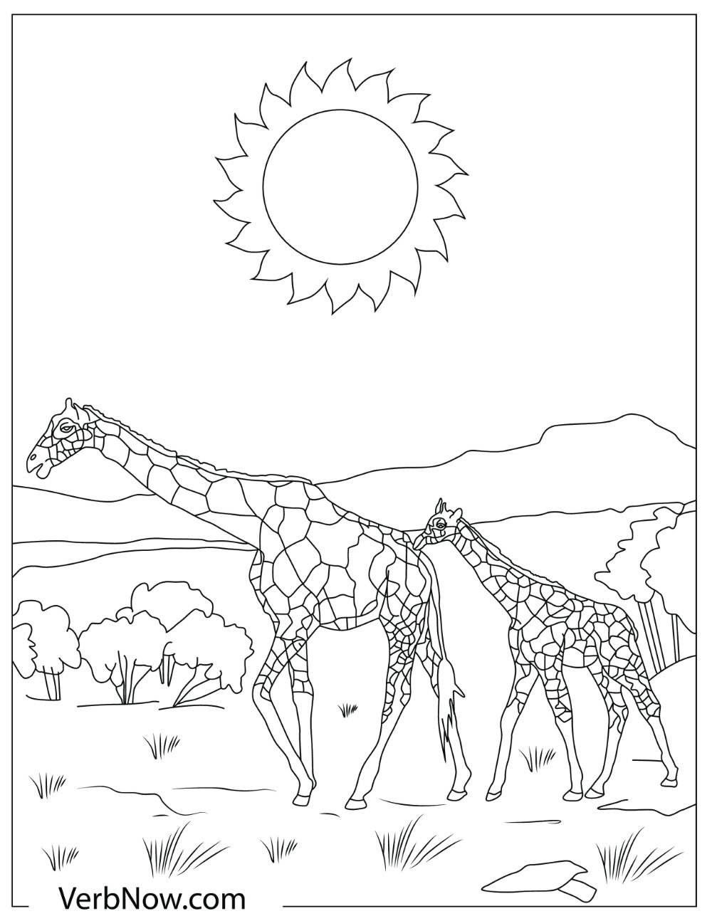 Two tall giraffes travelling on a sunny day.