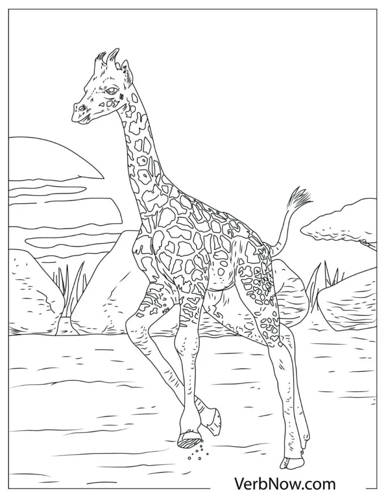 Giraffe Illustration 12 page 0