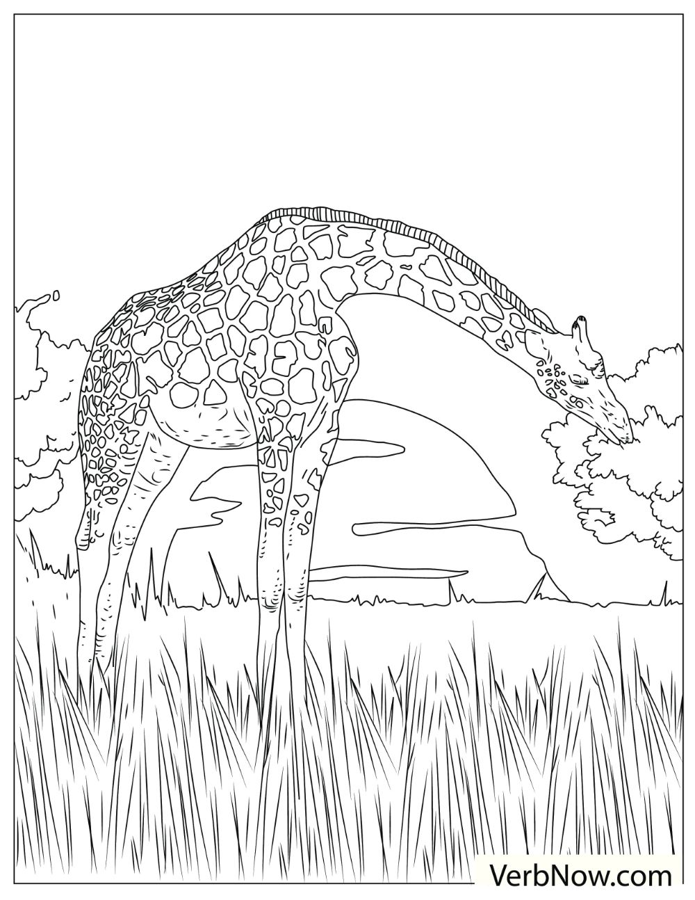 Tall and mighty-looking giraffe peacefully eating some leaves.
