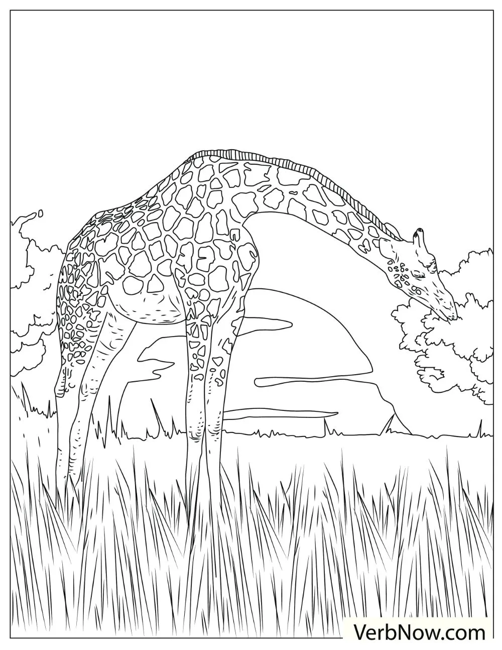 Tall and mighty-looking giraffe peacefully eating some leaves.