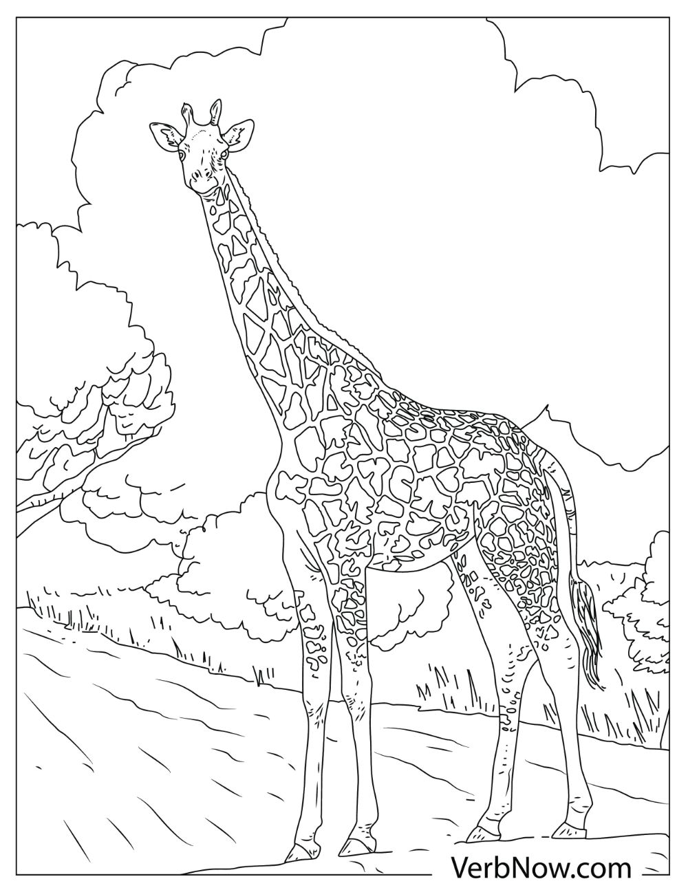 Illustration of a tall giraffe standing on a road.