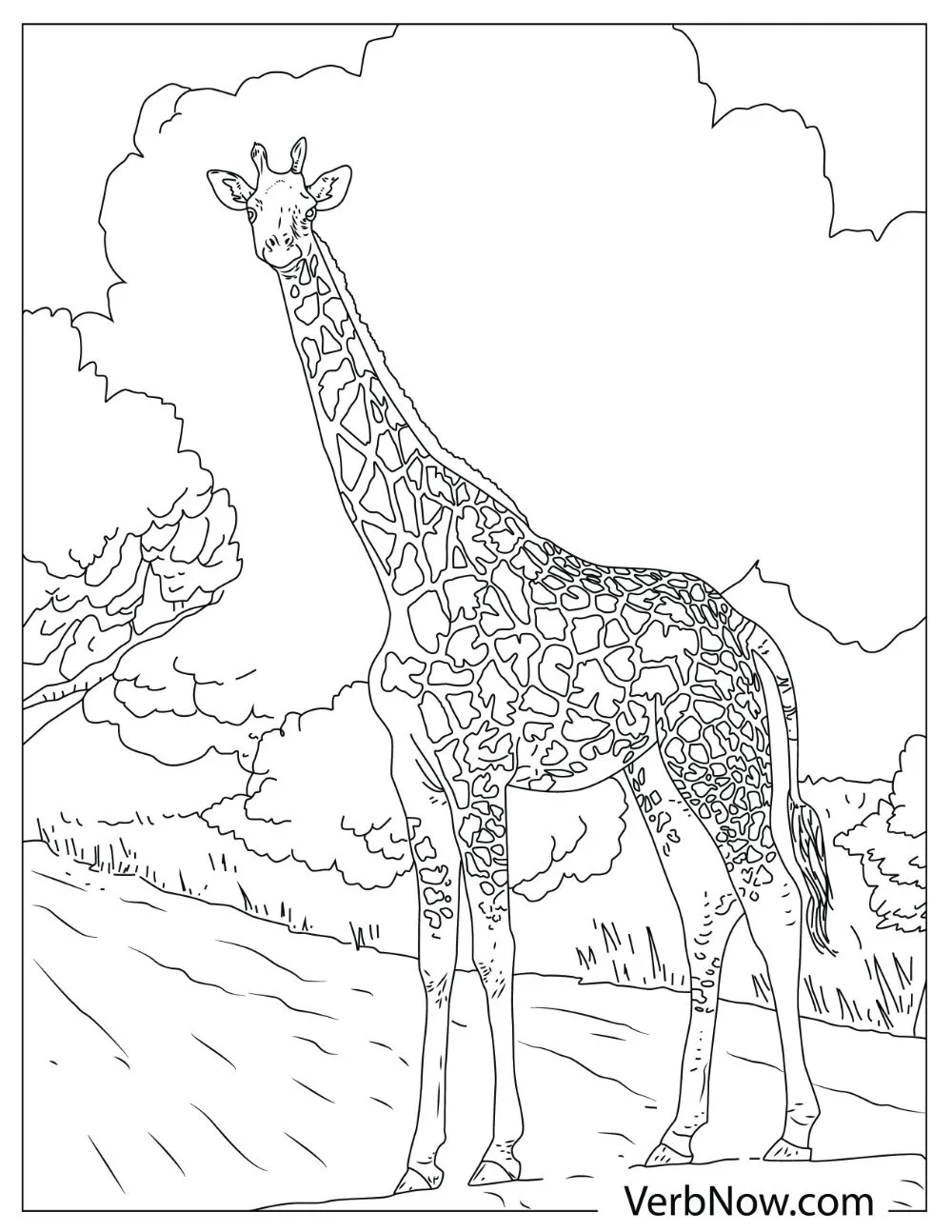 Illustration of a tall giraffe standing on a road.