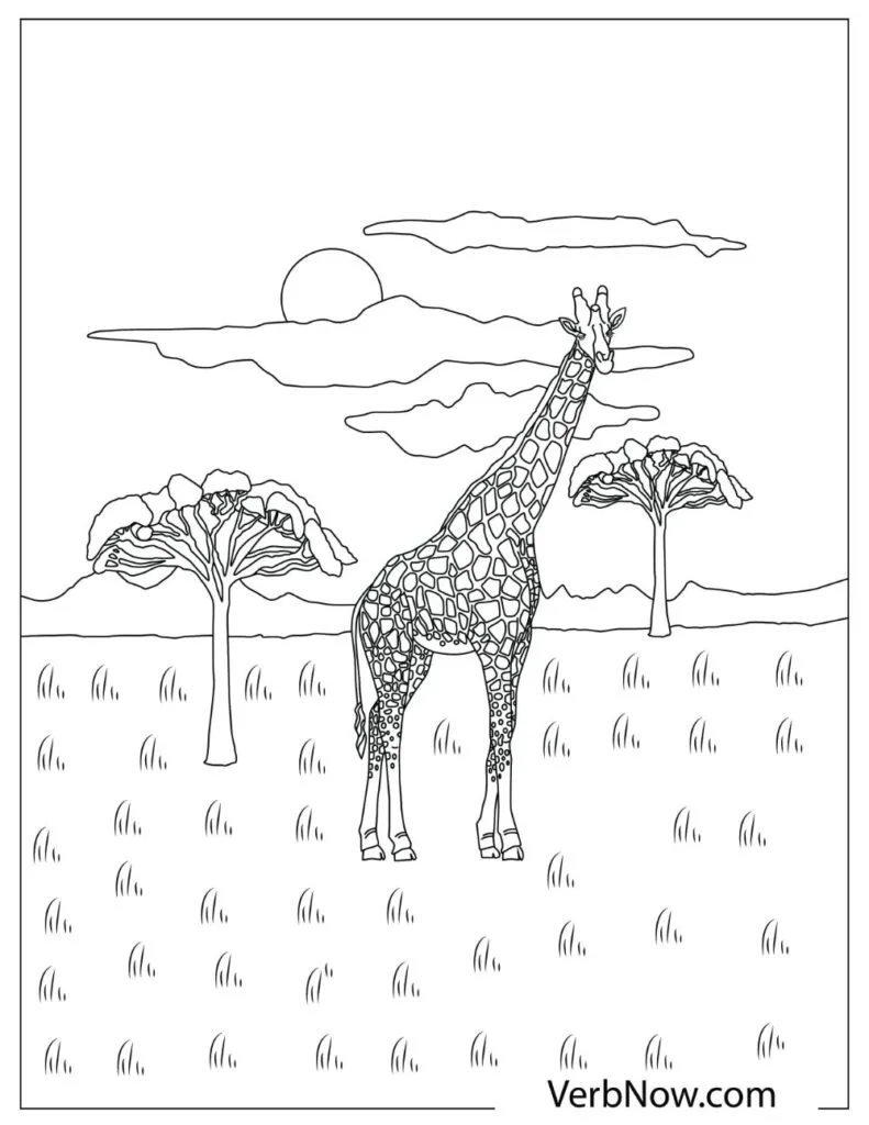 Giraffe Illustration 17 page 0