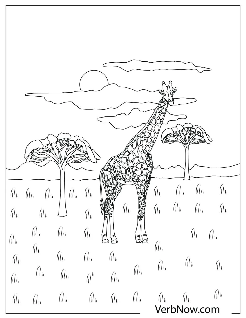 Towering giraffe standing on grassland.
