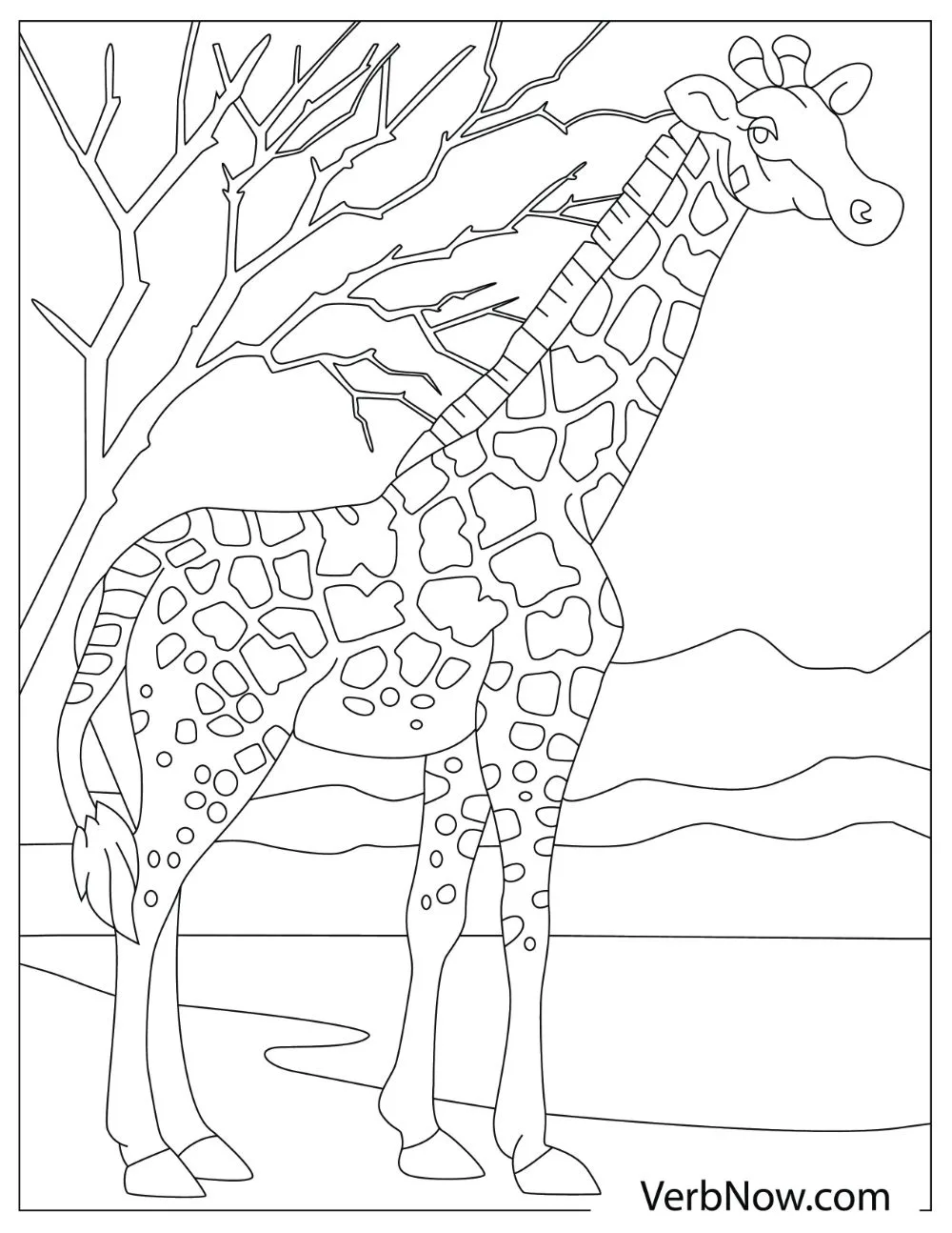 Fabulous-looking giraffe standing as tall as a tree.