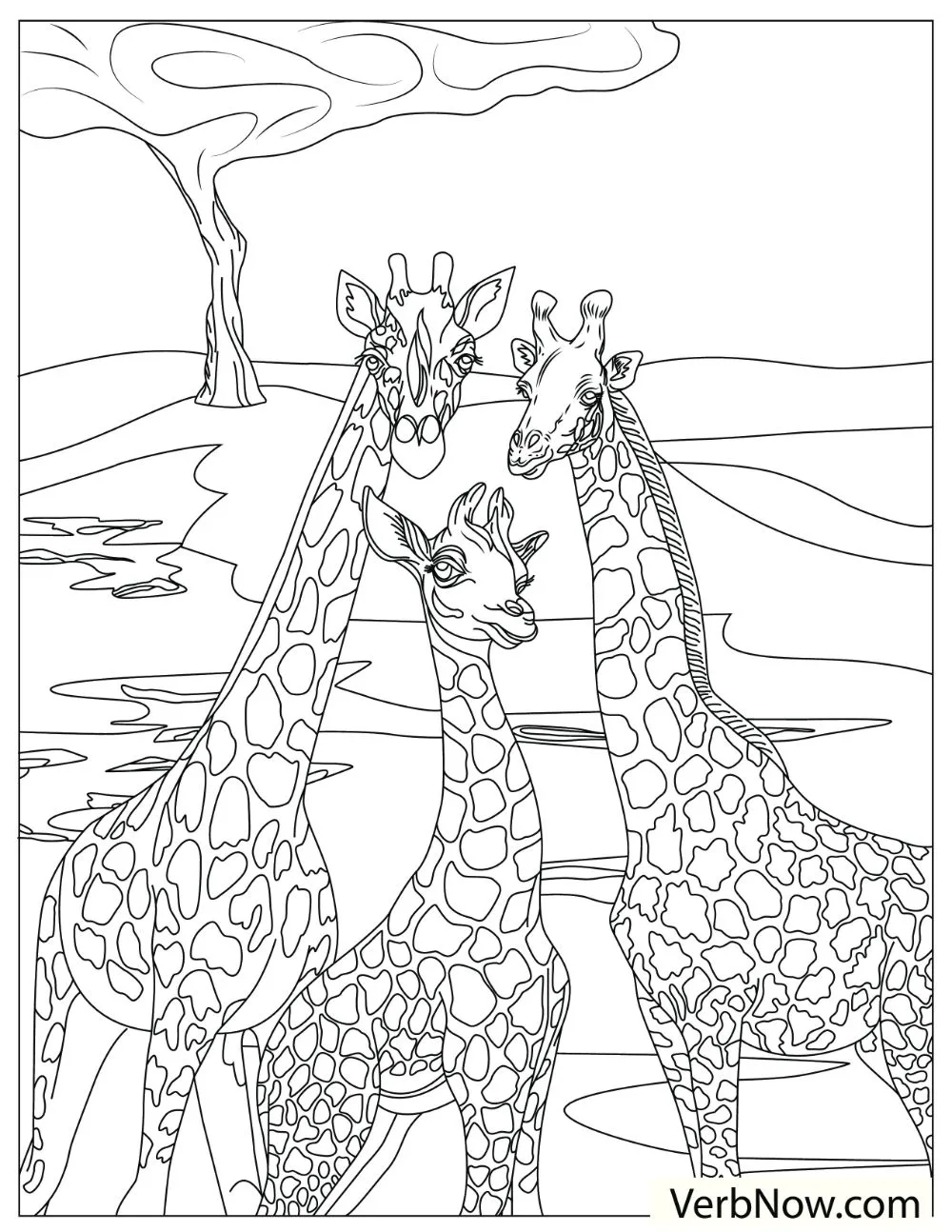 A family of giraffes with their child in the middle.
