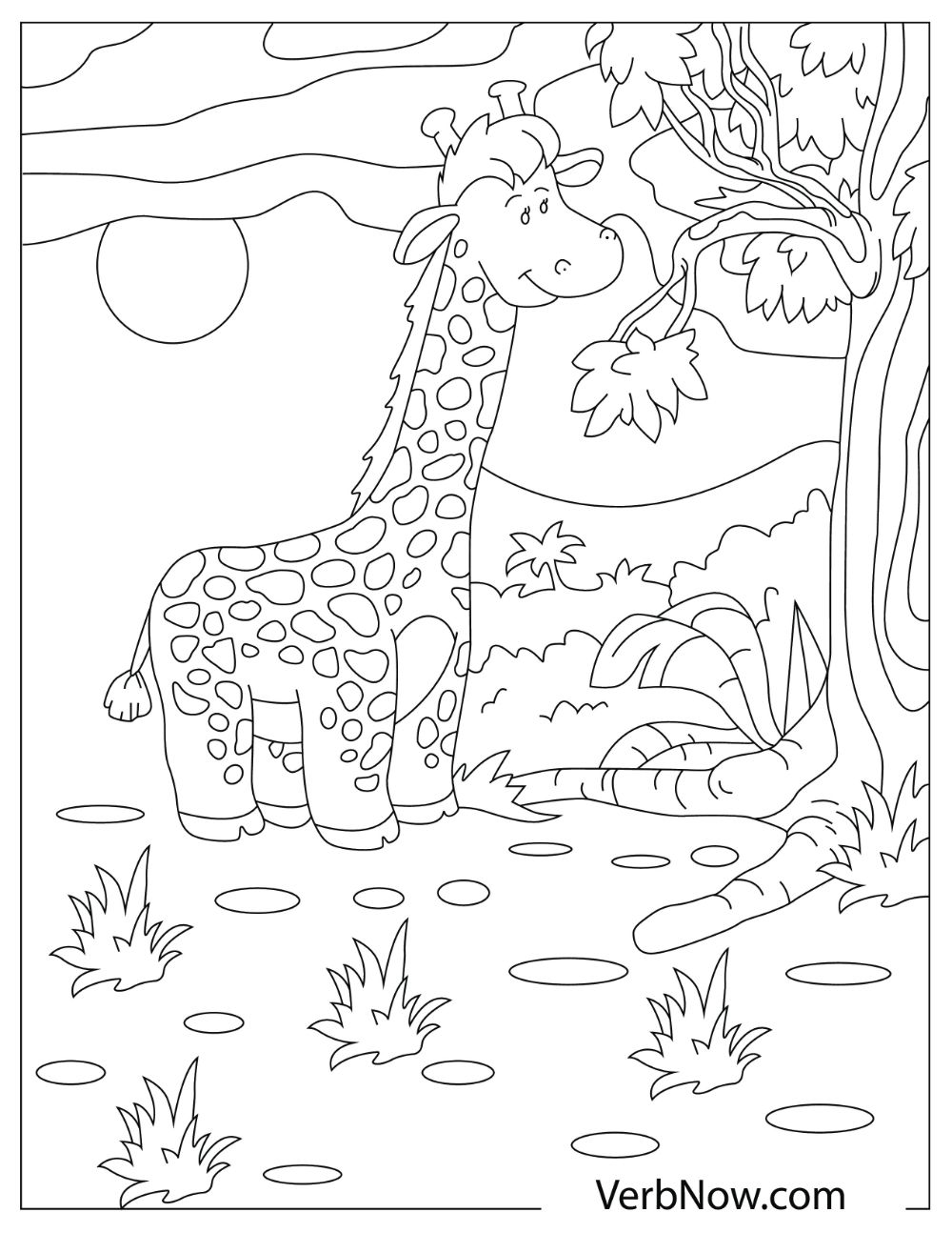 Chubby giraffe standing as tall as a tree.