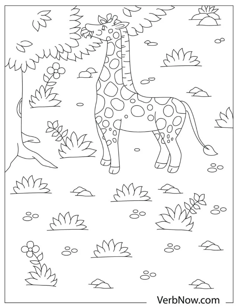 Giraffe Illustration 9 page 0