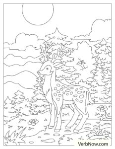Free DEER Coloring Pages for Download (Printable PDF)