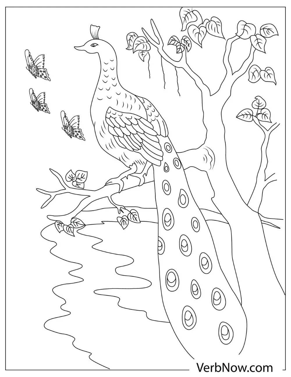 An illustration of a peacock standing on a branch with butterflies in the background.