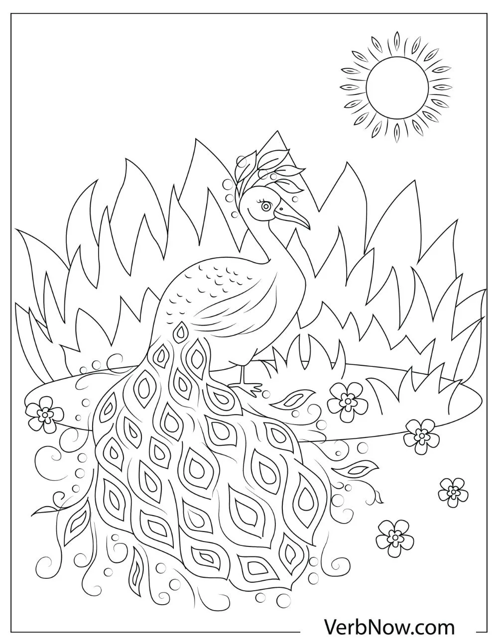 An illustration of a peacock with beautiful feathers standing in front of the grass.