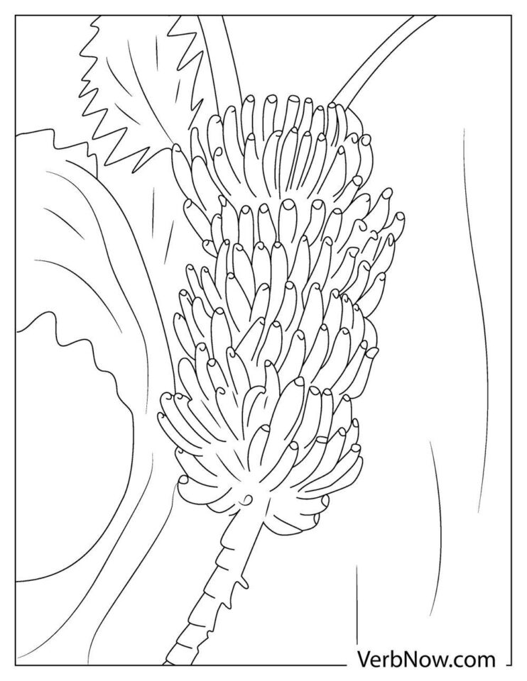 Free BANANA Coloring Pages for Download (Printable PDF)
