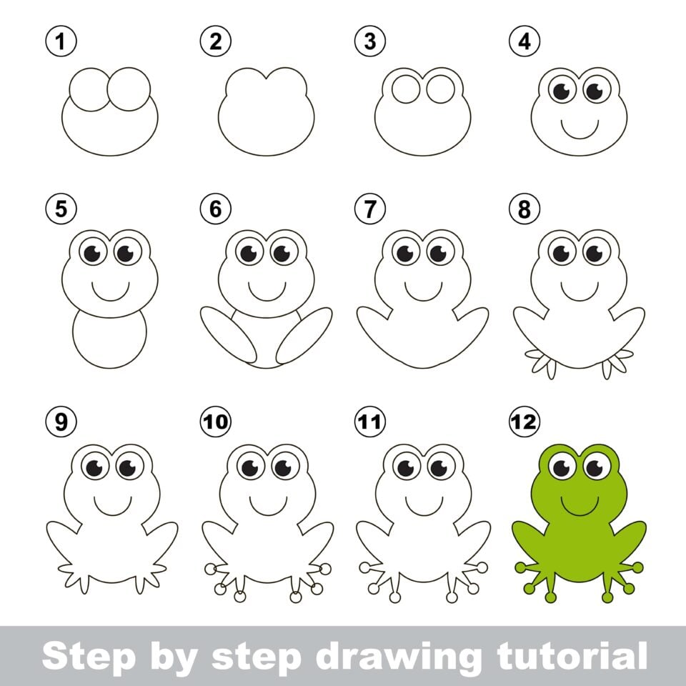 How To Draw A Frog In 12 Easy Steps Verbnow