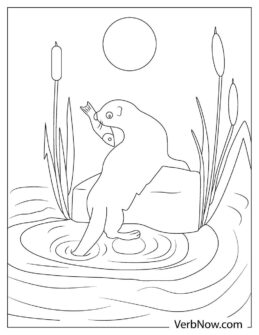 Free OTTER Coloring Pages for Download (Printable PDF)