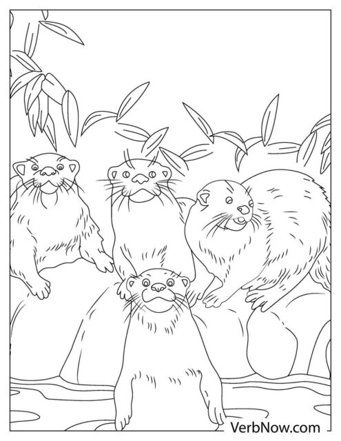 Free OTTER Coloring Pages &amp; Book for Download (Printable PDF) - VerbNow