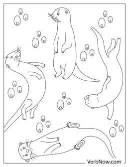 Free OTTER Coloring Pages for Download (Printable PDF)