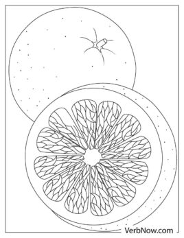 Free ORANGE Coloring Pages for Download (Printable PDF)