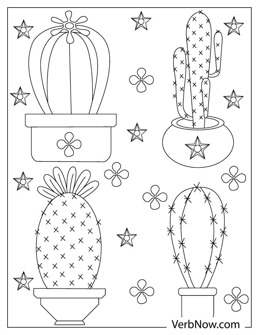 Four uniquely shaped cactus plants 
