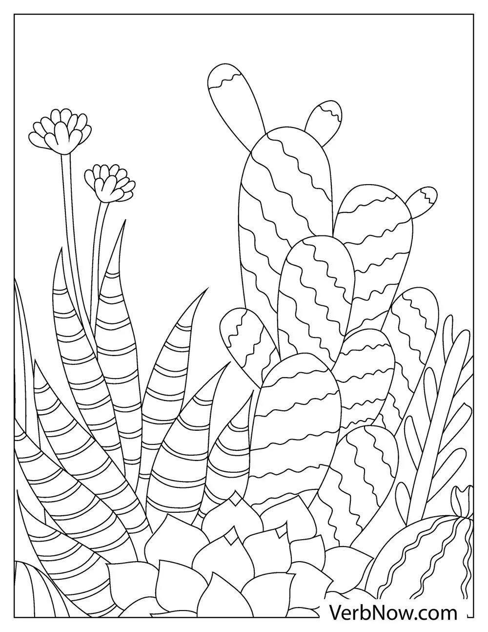 Spiky and flowering cactus garden