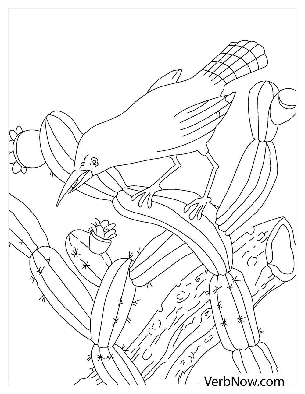 Bird sitting on cactus branches coloring page