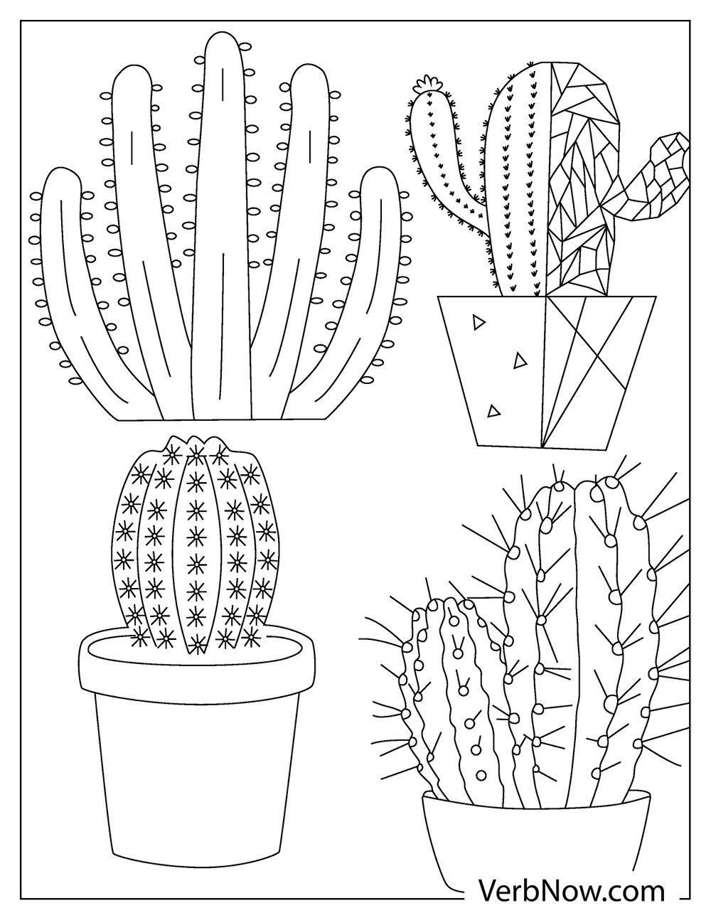 Prickly cactus coloring page for kids