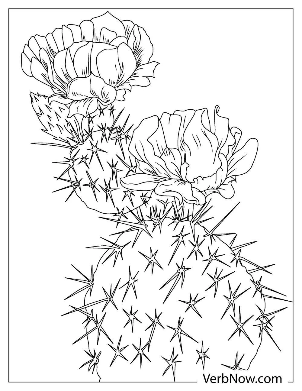Detailed cactus with blooming flower 