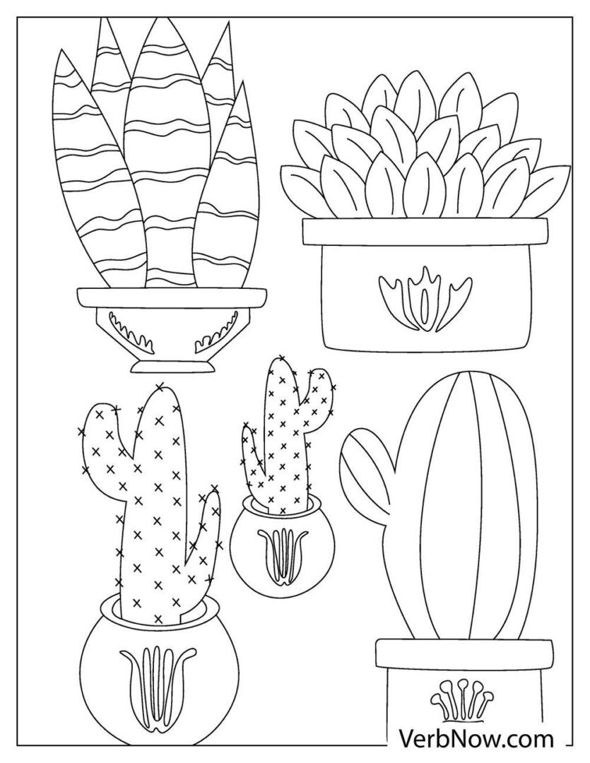 Free CACTUS Coloring Pages & Book for Download (Printable PDF) - VerbNow