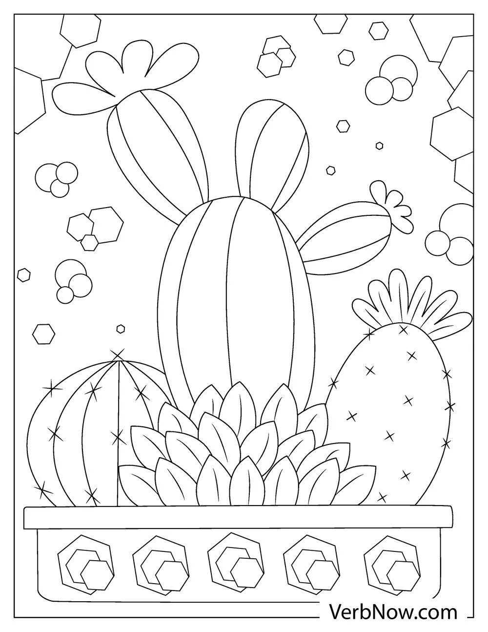 Tall cactus in decorative planter 