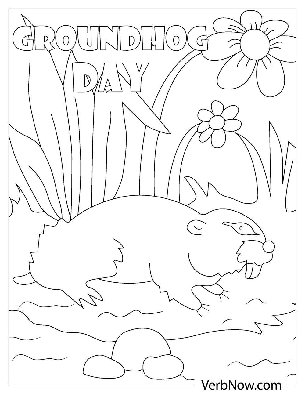 Groundhog resting near flowers coloring page