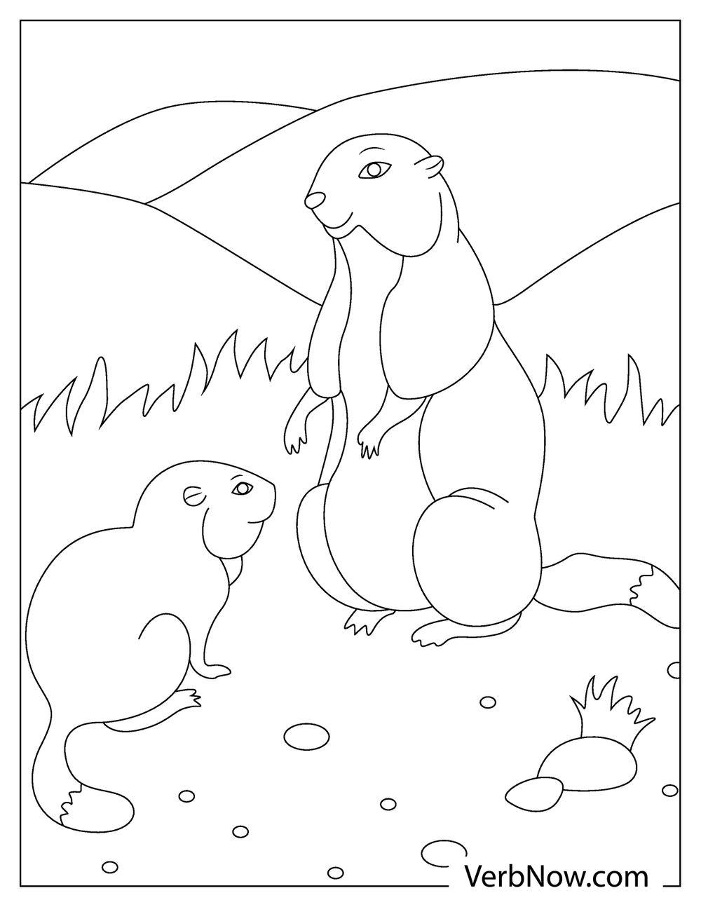 Two groundhogs in the grassland coloring page