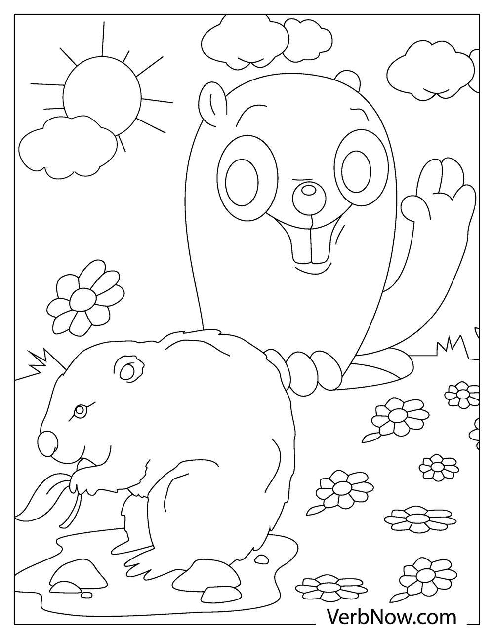Cute groundhog standing near flowers