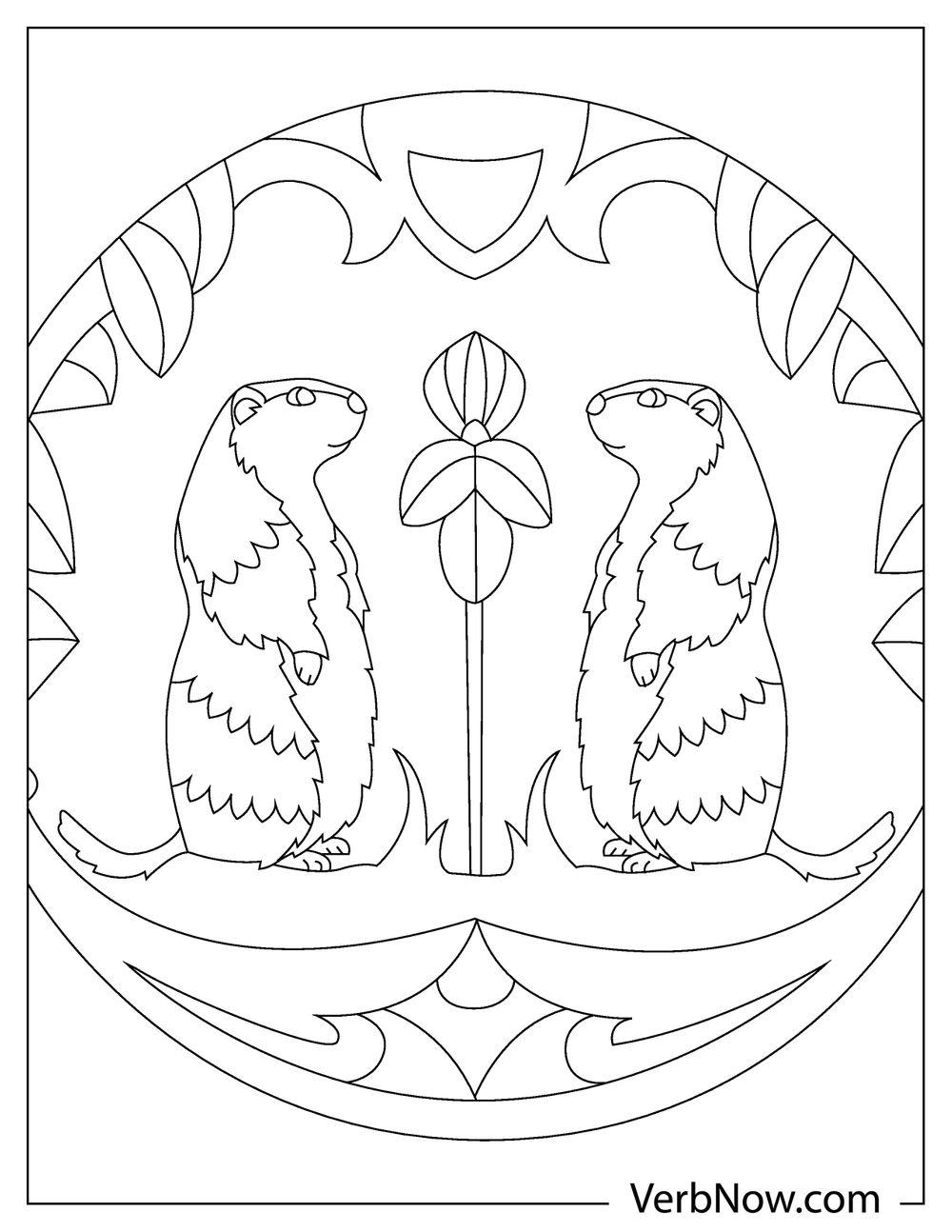 Two groundhogs in a circular frame coloring page