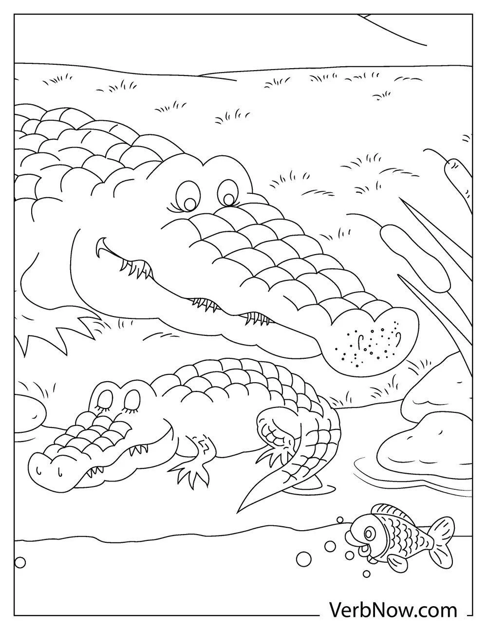 Crocodile zoo coloring page showing sharp teeth and scaly body