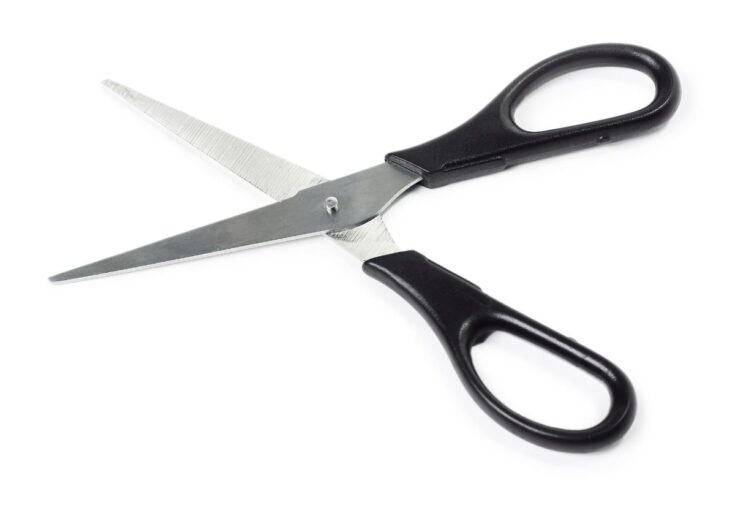 19 Popular Types of Scissors