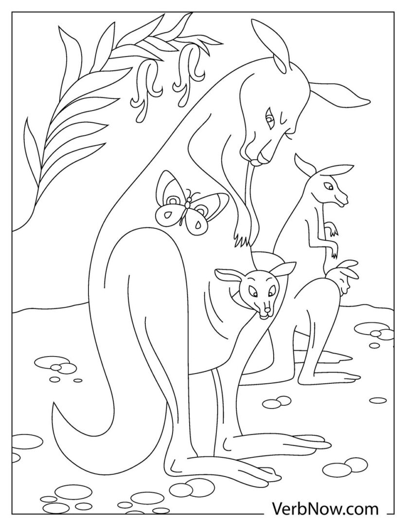 Free KANGAROO Coloring Pages for Download (Printable PDF)